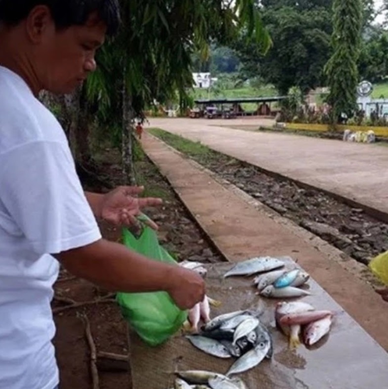 Pagtitinda Ng Isda Ay Pinagkakitaan Ng Isang Pari Upang Makapagpatayo